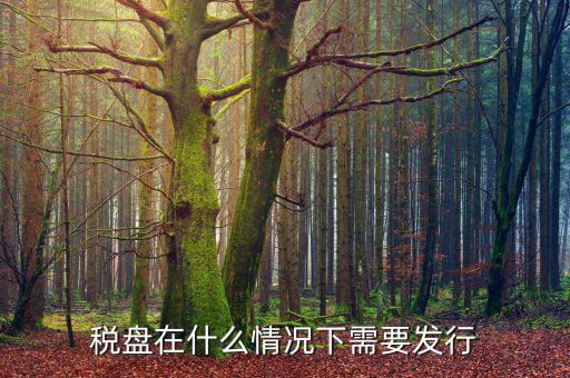 稅盤在什么情況下需要發行
