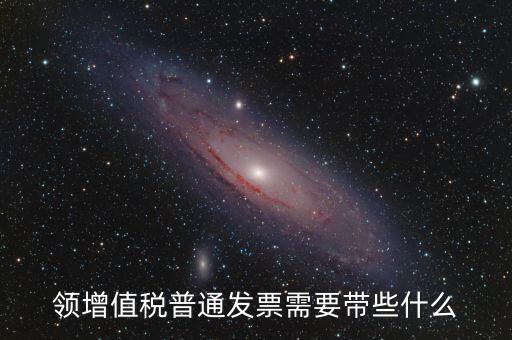 領增值稅普通發票需要帶些什么