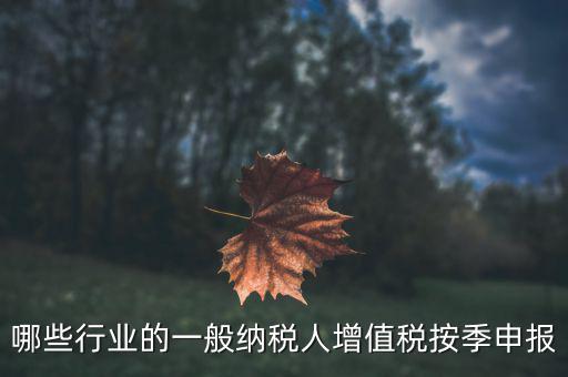 哪些行業的一般納稅人增值稅按季申報