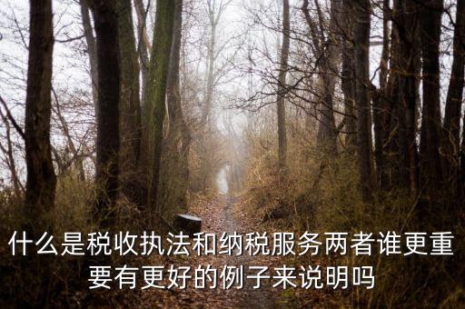 什么是稅收執法和納稅服務兩者誰更重要有更好的例子來說明嗎