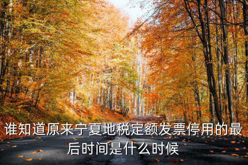 地稅餐費發票什么時間停用的，地稅發票從什么時候開始不能用了