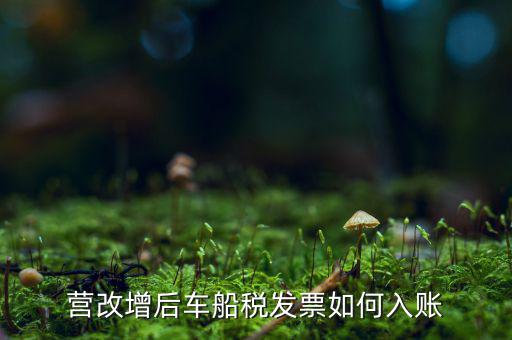 營改增后車船稅發票如何入賬