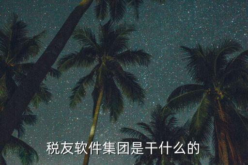 稅友軟件是干什么的，稅友的稅友軟件集團
