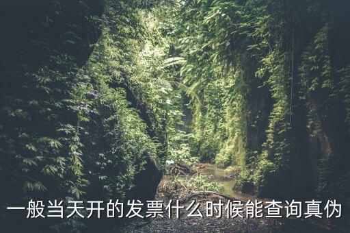 一般當天開的發票什么時候能查詢真偽