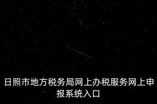 日照市地方稅務局網上辦稅服務網上申報系統入口