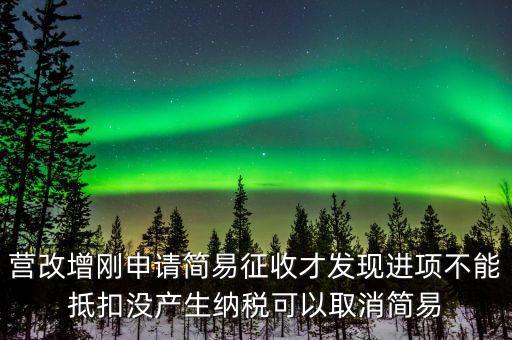 營改增剛申請簡易征收才發現進項不能抵扣沒產生納稅可以取消簡易
