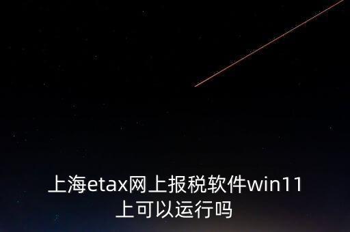 上海網(wǎng)上報(bào)稅什么軟件，上海etax網(wǎng)上報(bào)稅軟件win11上可以運(yùn)行嗎