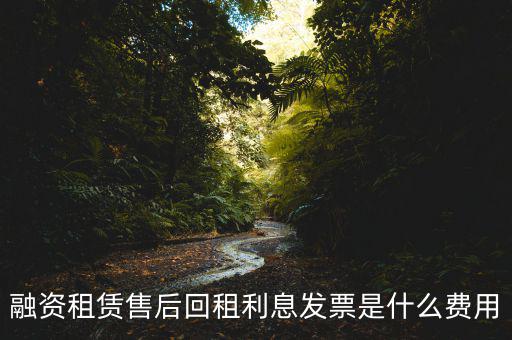 融資租賃售后回租利息發票是什么費用