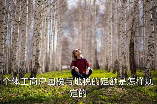 個體工商戶國稅與地稅的定額是怎樣規定的