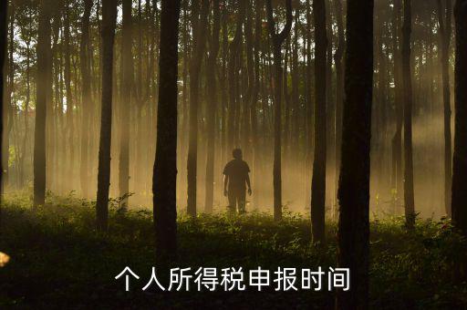 代扣代繳的個稅什么時候申報，個人所得稅申報時間