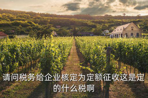請問稅務給企業核定為定額征收這是定的什么稅啊