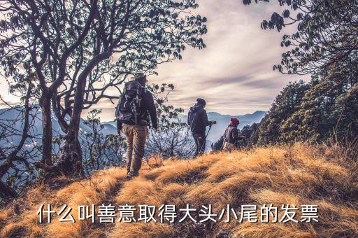 大頭小尾發票是什么意思，發票中說的大頭小尾是什么意思