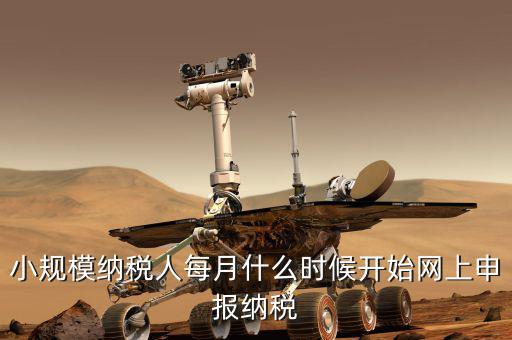 小規模納稅人每月什么時候開始網上申報納稅