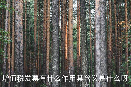 要發票有什么用，發票有哪些作用呢