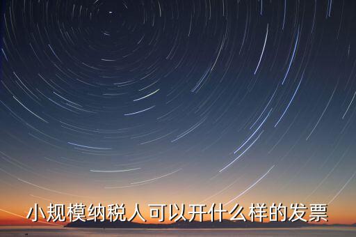 小規模納稅人可以開什么樣的發票