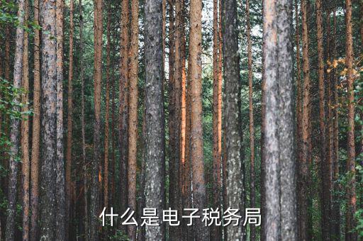 國稅網(wǎng)廳是什么意思，什么是電子稅務(wù)局