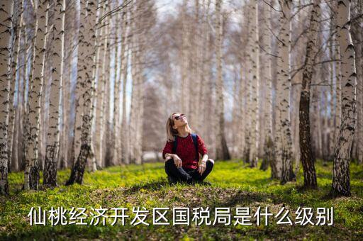 仙桃稅務局局長是什么級別，仙桃經濟開發區國稅局是什么級別