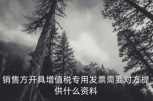 銷售方開具增值稅專用發票需要對方提供什么資料
