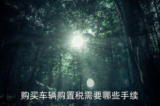 購買車輛購置稅需要哪些手續