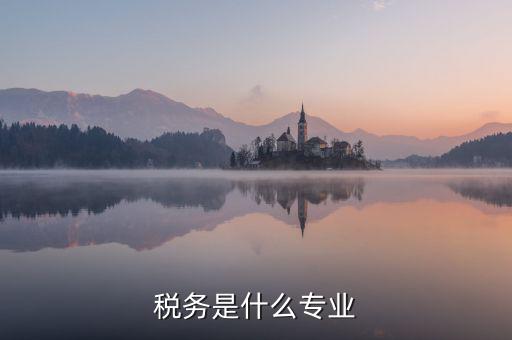 中文專業和稅務專業沒什么關系啊，稅務專業有哪些相近專業