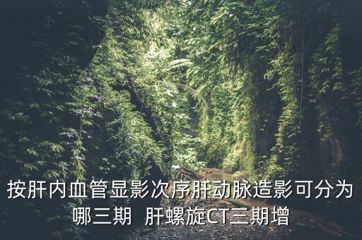 為什么要做三期增強，按肝內血管顯影次序肝動脈造影可分為哪三期  肝螺旋CT三期增