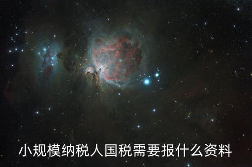 小規模納稅人國稅需要報什么資料