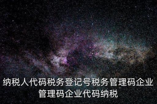 納稅人管理代碼是什么，納稅人代碼稅務登記號稅務管理碼企業管理碼企業代碼納稅