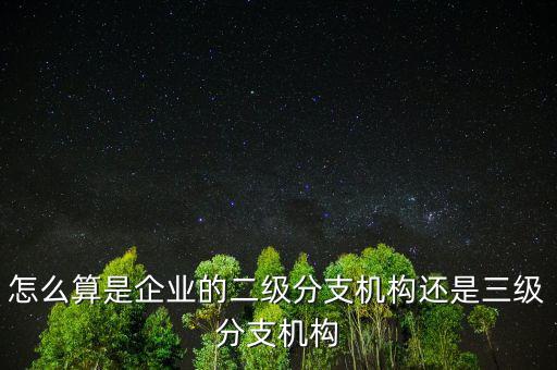怎么算是企業的二級分支機構還是三級分支機構