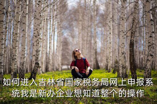 如何進入吉林省國家稅務局網上申報系統我是新辦企業想知道整個的操作