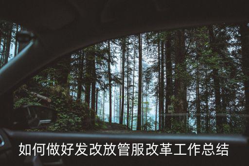 如何做好發改放管服改革工作總結