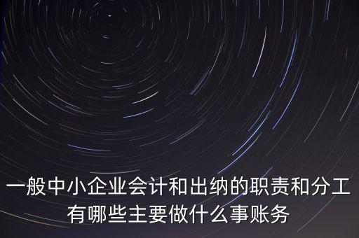 一般中小企業會計和出納的職責和分工有哪些主要做什么事賬務