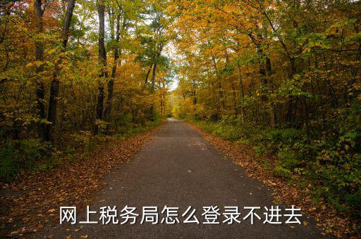 網上稅務局怎么登錄不進去