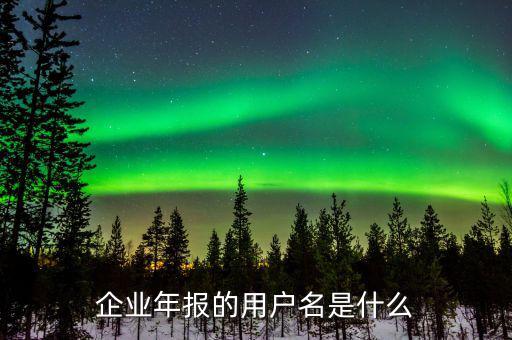 企業年報的用戶名是什么