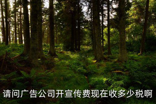 請問廣告公司開宣傳費現在收多少稅啊