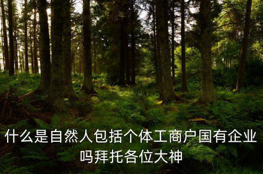 什么是自然人包括個體工商戶國有企業嗎拜托各位大神
