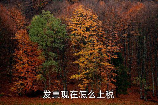 發票現在怎么上稅
