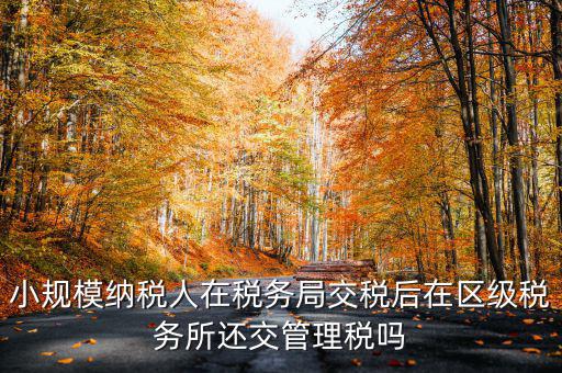小規模納稅人在稅務局交稅后在區級稅務所還交管理稅嗎