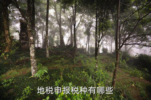 地稅網上申報系統能報什么稅，地稅申報稅種有哪些