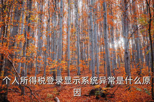 個人所得稅登錄顯示系統異常是什么原因