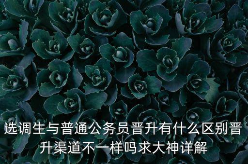 選調生與普通公務員晉升有什么區別晉升渠道不一樣嗎求大神詳解