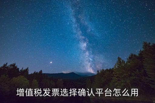 增值稅發票選擇確認平臺怎么用