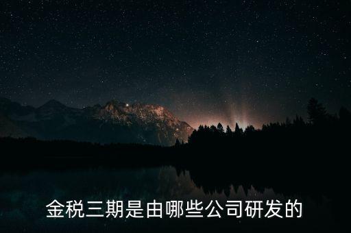 金稅三期是由哪些公司研發的