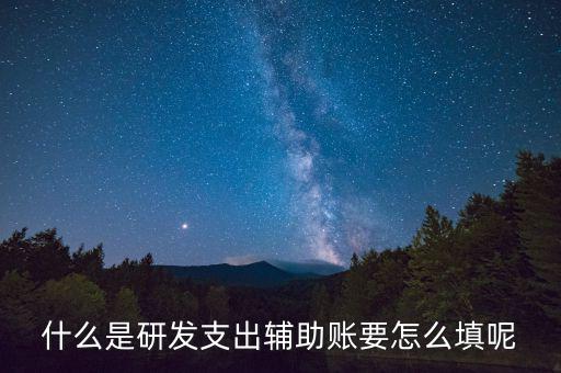 什么是研發支出輔助賬要怎么填呢