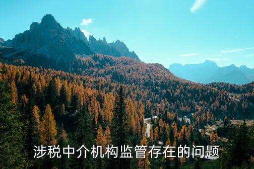 社會組織涉稅方面有什么問題，涉稅中介機構(gòu)監(jiān)管存在的問題