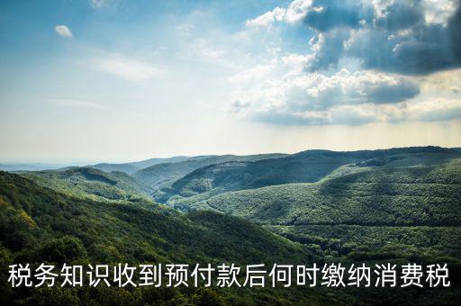 消費(fèi)稅是什么時候交，各種稅費(fèi)交納時間