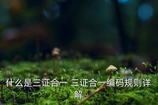 什么是三證合一 三證合一編碼規則詳解
