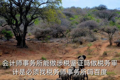 會計師事務所能做涉稅鑒證嗎做稅務審計是必須找稅務師事務所嗎百度