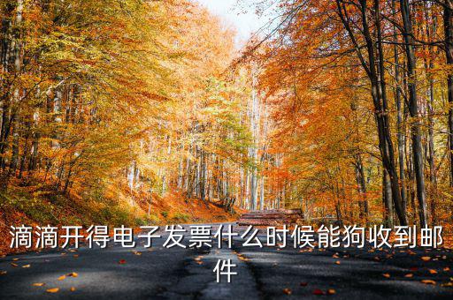 滴滴開得電子發票什么時候能狗收到郵件