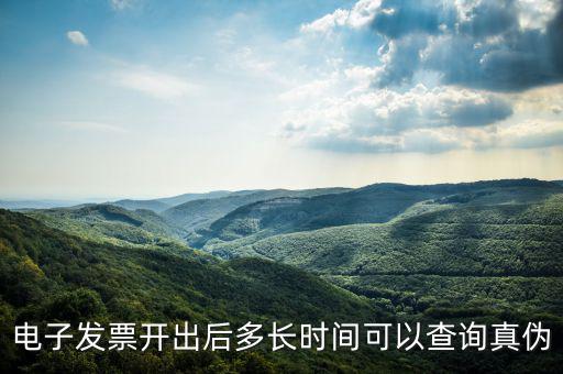 電子發票開出后多長時間可以查詢真偽