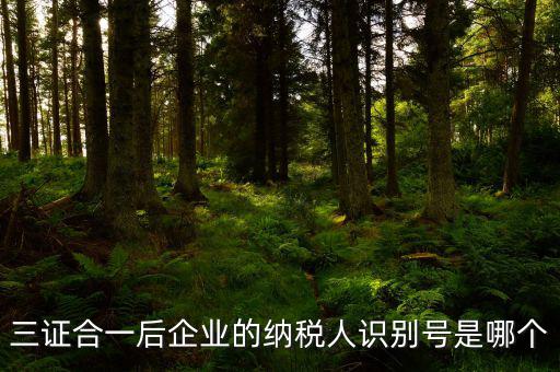 三證合一的納稅人識別號是什么，三證合一后企業(yè)的納稅人識別號是哪個